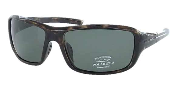 Glasses Polarized